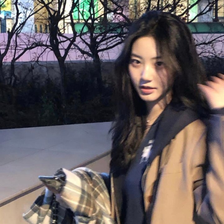蛇蝎夜合花