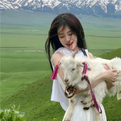 三位调查员:龙的遗产